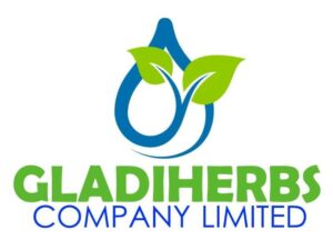 465138384_8483939778310282_7072003484055798930_n