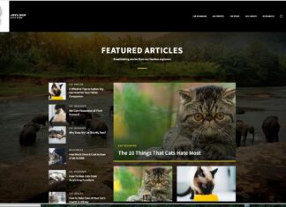 Website Redesign Project, jufex.shop